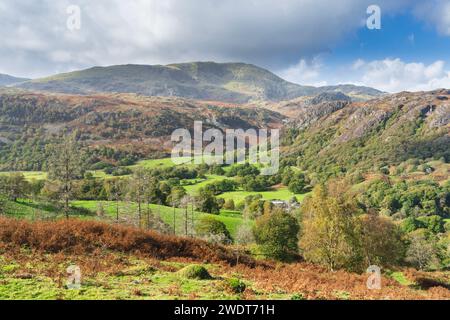 Goat Crag und Coniston Moor von Tarn Hows bei Coniston im südöstlichen Lake District, Lake District National Park Stockfoto