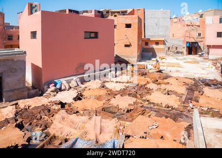 Marrakesch Gerbereien, Marrakesch, Marokko, Nordafrika, Afrika Stockfoto