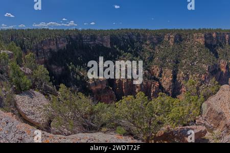 Hearst Hill von der anderen Seite des Hance Canyon am Südrand des Grand Canyon, Grand Canyon Nationalpark, UNESCO-Weltkulturerbe, Arizona Stockfoto
