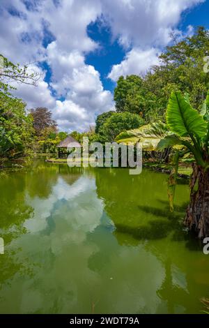 Blick auf den Botanischen Garten Sir Seewoosagur Ramgoolam, Mauritius, Indischen Ozean, Afrika Stockfoto