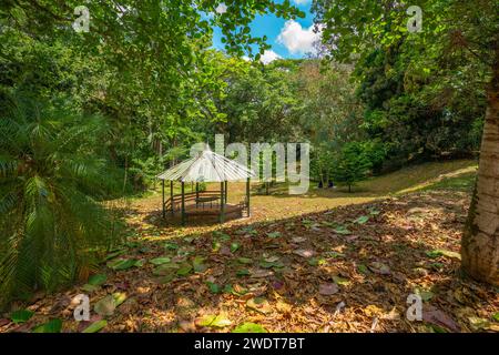 Blick auf den Botanischen Garten Sir Seewoosagur Ramgoolam, Mauritius, Indischen Ozean, Afrika Stockfoto