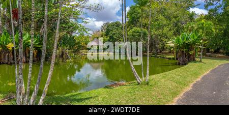 Blick auf den Botanischen Garten Sir Seewoosagur Ramgoolam, Mauritius, Indischen Ozean, Afrika Stockfoto