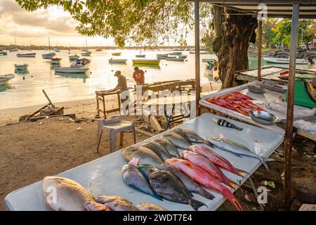 Blick auf den Tagesfang am Fischstand in Grand Bay zur goldenen Stunde, Mauritius, Indischer Ozean, Afrika Stockfoto