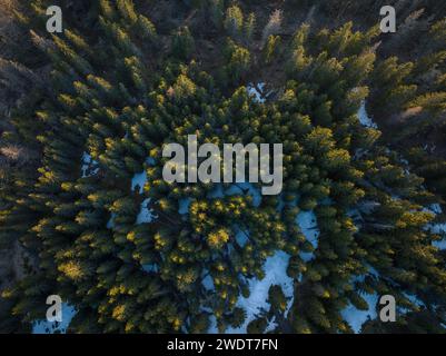Luftlinie der Waldlandschaft in der Nähe von Nucsoara, Landkreis Arges, Muntenia, Rumänien, Europa Stockfoto