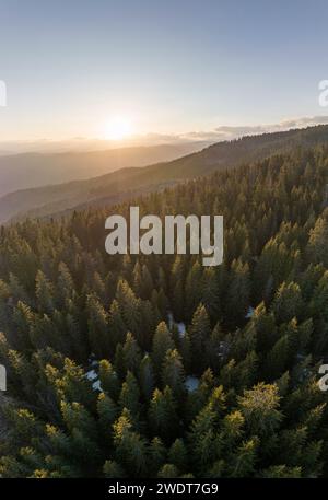 Luftlinie der Waldlandschaft in der Nähe von Nucsoara, Landkreis Arges, Muntenia, Rumänien, Europa Stockfoto