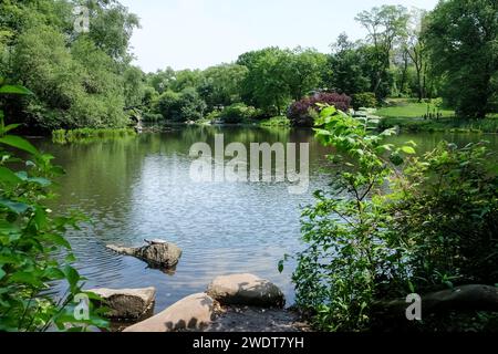 Blick auf den Teich, eines von sieben Wasserkörpern im Central Park in der Nähe des Grand Army Plaza, gegenüber dem Central Park südlich vom Plaza Hotel, New York Stockfoto