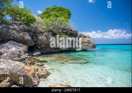 Das kristallklare türkisfarbene Meer am Grote Knip Beach, berühmt für sein blaues Wasser, auf der niederländischen Karibikinsel Curacao, Westindien, Karibik Stockfoto