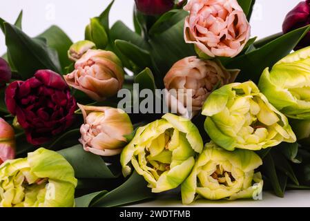 Eleganter gemischter Tulpen-Frühlingsstrauß aus nächster Nähe. Frühlingstulpen. Tulpenstrauß. Stockfoto