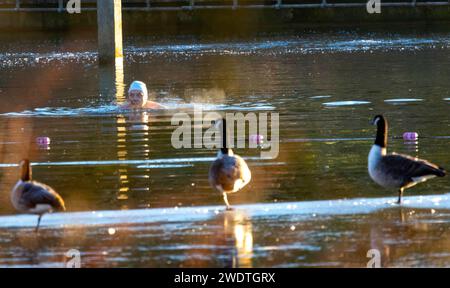 PIC zeigt: Schwimmer am frühen Morgen in Hampstead Teichen haben -3 Temperaturen, während der Vogel auf dem Eis steht. Bild gavin rodgers/pixel8000 Stockfoto