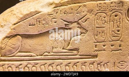 Ägypten, Sakkara, Serapeum, Detail einer APIs-Stierstele. Stockfoto