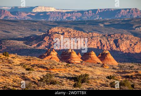 Sonnenaufgangslicht auf den South Teepees, Navajo Sandsteinformationen in North Coyote Buttes, Vermilion Cliffs National Monument, Arizona. Stockfoto