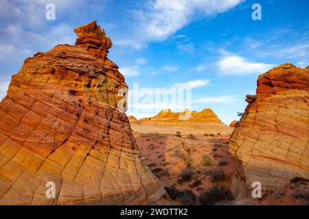 Am späten Nachmittag erstrahlen erodierte Navajo-Sandsteinformationen in South Coyote Buttes, Vermilion Cliffs National Monument, Arizona. Stockfoto