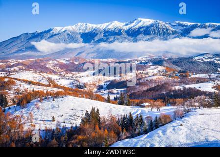 Karpaten, Rumänien. Glänzende Winterlandschaft mit schneebedeckter Landschaft mit malerischer touristischer Region Rucar-Bran, Bucegi Mountains in Transsilvanien. Stockfoto