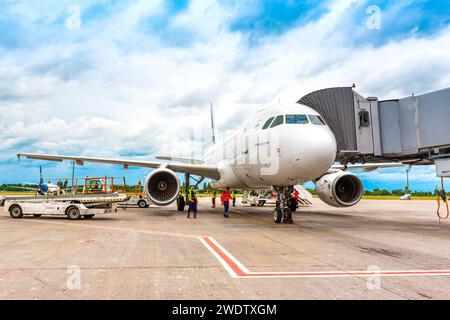 Boryspil, Ukraine - 14. Juli 2020: Flugzeug Airbus A319 (F-GRHR) von AirFrance auf Boryspil International Airport Stockfoto