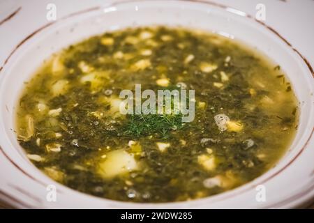 Grüne ukrainische Borschtsuppe oder Sauersuppe, mit Fleisch zubereitet. Sauerampfer-Suppe wird aus Wasser oder Brühe, Sauerampfer-Blättern und Salz hergestellt Stockfoto