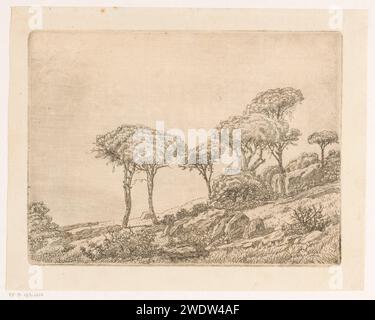 Gebirgslandschaft mit Bäumen, Agustín Riancho, 1851 - 1913 Drucken Ansicht einer Gebirgslandschaft mit hohen Bäumen im Vordergrund. Spanien Papier ätzt Landschaften. Berge Stockfoto