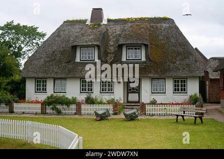 Haus auf Hallig Oland Stockfoto