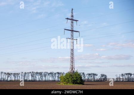 Körperpanzer schwarzer Schutzkrieg. Hochwertige Fotos Stockfoto