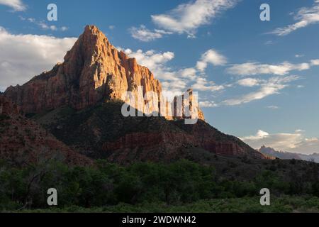 Der Gipfel des Mount Watchman wird von der Sonne beleuchtet. Blauer Himmel. Stockfoto