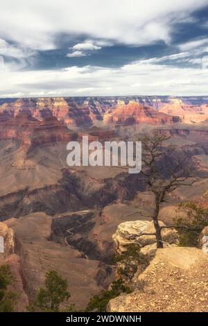 Blick tief in den Grand Canyon. Im Vordergrund des Abgrunds befindet sich ein kleiner Baum. Bewölkter Himmel. Stockfoto