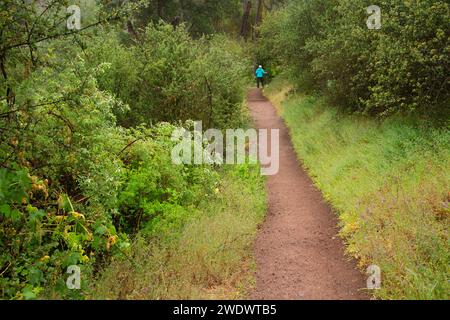 Juniper Canyon Trail, Pinnacles National Park, Kalifornien Stockfoto