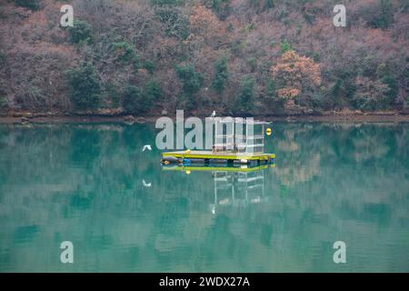 Dezember im Limski-Kanal oder im Lim-Kanal in Istrien, Kroatien. Oft als der einzige Fjord in Südeuropa beschrieben, ist es aufgrund nicht-glazialen Ursprungs tatsächlich eine ria Stockfoto