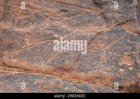 Petroglifo, yacimiento rupestre de Aït Ouazik, finales del Neolítico, Marruecos, Afrika Stockfoto