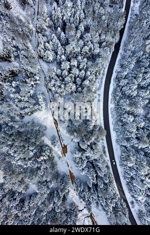 Kato Olympos (Olympos) Berg. Direkt vor dem Dorf Kallipefki, auf der Straße nach Palaios Panteleimonas. Larissa, Thessalien, Griechenland. Stockfoto