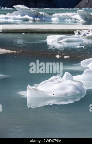 Eisberge schwimmen an einem wunderschönen Nachmittag im Upper Grinnell Lake im Glacier National Park montana. Stockfoto