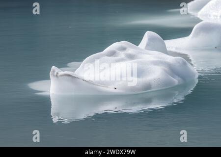 Eisberge schwimmen an einem wunderschönen Nachmittag im Upper Grinnell Lake im Glacier National Park montana. Stockfoto