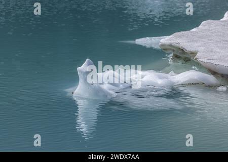 Eisberge schwimmen an einem wunderschönen Nachmittag im Upper Grinnell Lake im Glacier National Park montana. Stockfoto