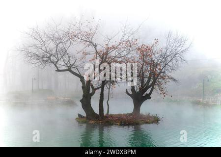 Foto in Vryssi Tyrnavou, einem malerischen kleinen See und einem schönen Erholungsgebiet in der Nähe von Tyrnavos, Larissa, Thessalien, Griechenland. Stockfoto