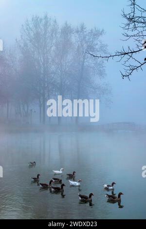 Foto in Vryssi Tyrnavou, einem malerischen kleinen See und einem schönen Erholungsgebiet in der Nähe von Tyrnavos, Larissa, Thessalien, Griechenland. Stockfoto