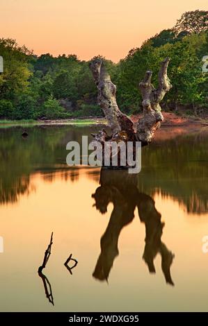 Am Skiti-See, in der Nähe von Skiti-Dorf, Mavrovouni Berg, Gemeinde Agia, Larissa, Thessalien, Griechenland. Stockfoto