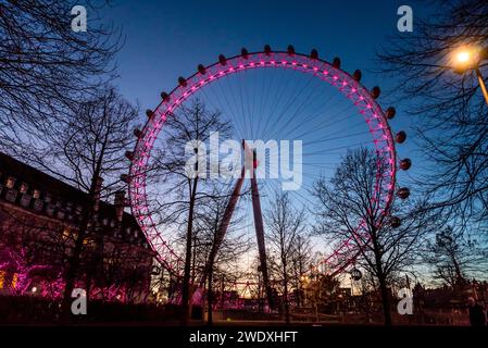 Blick auf das London Eye bei Nacht, London, England, Großbritannien Stockfoto