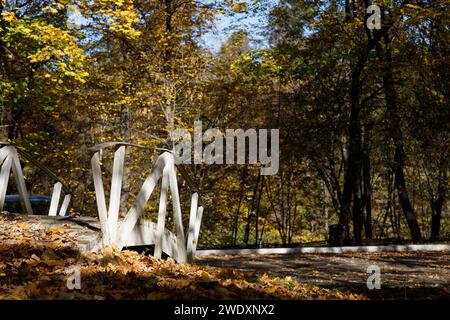 Weiße Brücke im Herbstwald, gelbe Bäume Stockfoto