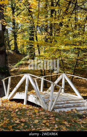 Weiße Brücke im Herbstwald, gelbe Bäume Stockfoto