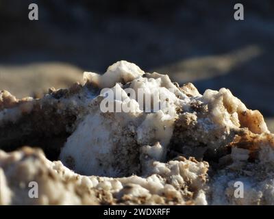 Nahaufnahme des Wüstensalzes Stockfoto