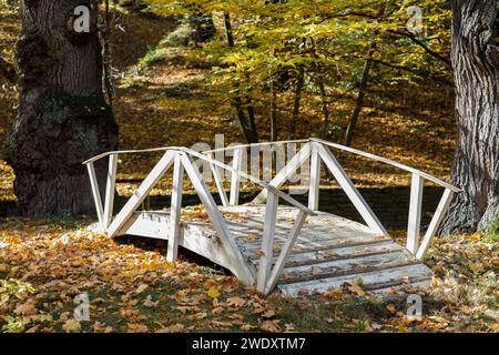 Weiße Brücke im Herbstwald, gelbe Bäume Stockfoto