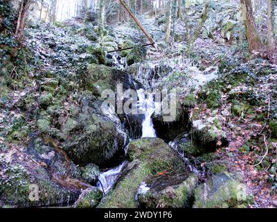 Ein schneebedeckter Bach schlängelt sich durch einen ruhigen Wald Stockfoto