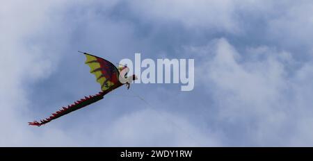 Lebendiger Drachenflieger Stockfoto