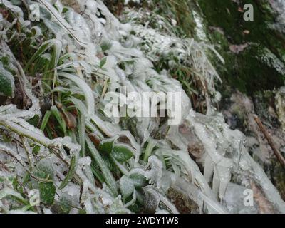 Eiszapfen bilden sich auf Felsen und Wasser, umgeben von Schnee Stockfoto