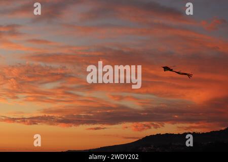 Lebendiger Himmel mit Drachendrachen Stockfoto