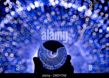 Lensball-Aufnahme von Light Tunnel @ Nashville Zoo Zoolumination Stockfoto