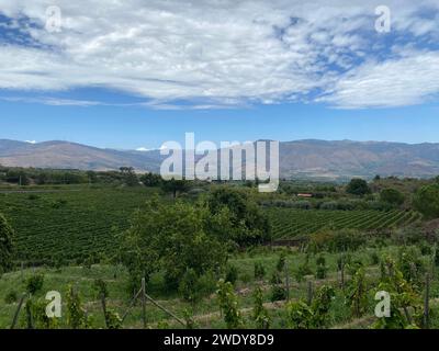 Faszinierende Aufnahme des Weinguts des Ätna (Sizilien/Italien) inmitten üppiger Weinberge, eingerahmt vom majestätischen Vulkan. Stockfoto