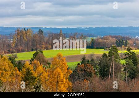 Luftaufnahme der wunderschönen Landschaft in der Stadt Zürich in der Schweiz. Stockfoto