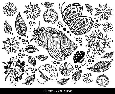Herbstschnecken, Schmetterling, Blumen und Blätter Vektor Hand gezeichnete Linie Art Clipart Sammlung Stock Vektor