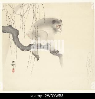 AAP OP Boomtak, Ohara Koson, 1900 - 1930 Monkey auf Baumzweig mit überhängenden Kätzchen drucken. Druckerei: Japanischer Verlag: Tokio Papierfarbe Holzschnitt Affen, Affen Stockfoto