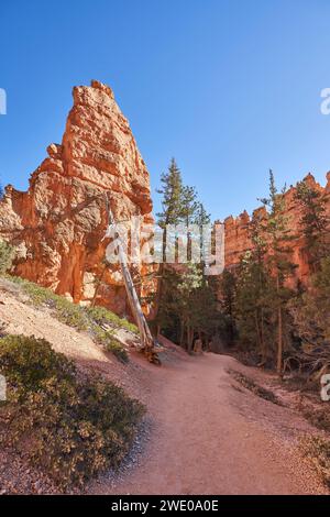 Der Gartenpfad der Königin führt in einen engen Canyon Stockfoto