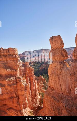 Am Eingang eines Canyons im Bryce Canyon National Park thront ein Hoodo. Stockfoto